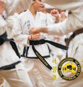 Rhee Tae Kwon Do - Carine Carine Taekwondo Classes & Lessons 1_small