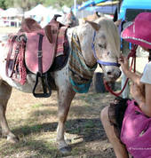 Make your next event family friendly with pony rides!
