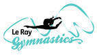 Le Ray Gymnastics PLC School Holiday Camps for Kids Greenacre Gymnastics Centres