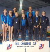 Dolphin Gymnastics Carrum Downs Gymnastics School Holiday Activities 10_small