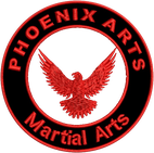 2 Weeks of UNLIMITED Kids Martial Arts Classes Labrador Martial Arts Academies