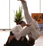 Yoshinkan Aikido 2