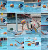 Rivercity Waterpolo Fortitude Valley Water Polo Clubs 1_small