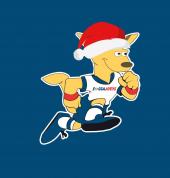 Soccajoeys  Soccer Classes & Lessons - Geelong (Victoria)