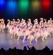 Essendon Academy of Ballet Airport West Ballet Dancing Schools 2_small