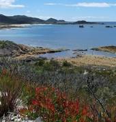 The Rocky Cape National Park