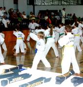 Action day warm ups