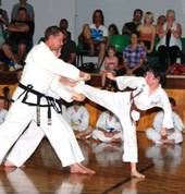Side kick - board breaking