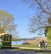 Alongside Lake Wendouree