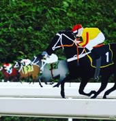 Horse racing game