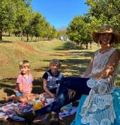 Gourmet picnics under the Orange trees