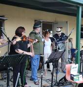 Traditional Irish music on show at the grounds