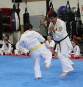 Kyokushin Karate