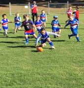 Westbrook Junior Australian Football Club Cherrybrook Aussie Rules (AFL) Clubs 1_small