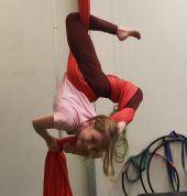 Aerial Silks, Hammock, Lyra/Hoop
