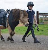 Party Ponies Old Reynella Mobile Farm & Animals 1_small