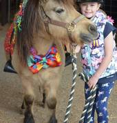 Party Ponies Old Reynella Mobile Farm & Animals 2_small