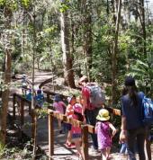 Bushwalking excursions