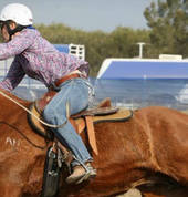 Camden Bicentennial Equestrial Park Camden Polocrosse Venues 1_small