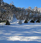 Alpine Camp Mt.Stirling