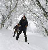 Fresh tracks