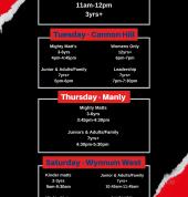 Matt Fiddes Martial Arts Carindale Manly Mixed Martial Arts (MMA) 2_small