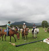 Centennial Glen Stables Blackheath Horse Riding Classes & Lessons 1_small