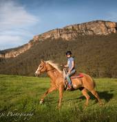 Centennial Glen Stables Blackheath Horse Riding Classes & Lessons 2_small