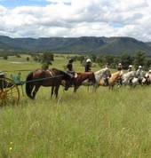 Centennial Glen Stables Blackheath Horse Riding Classes & Lessons 3_small