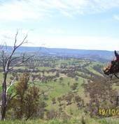 Centennial Glen Stables Blackheath Horse Riding Classes & Lessons 4_small