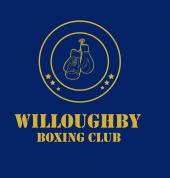 Wyllie Martial Arts Willoughby Martial Arts Academies 2_small