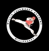 Wyllie Martial Arts Willoughby Martial Arts Academies 7_small