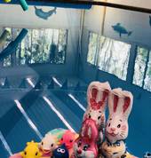 Kurrajong Swim School Kurrajong Swimming Classes & Lessons 5_small
