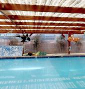 Shapland Swim School Buderim Chlorine free pool.