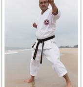 Sensei Jason Romer