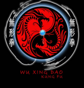 Wu Xing Dao Kung Fu