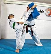 Enshin Karate 2