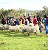 Feed Trail Walk