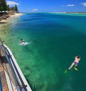 Bulcock Beach snorklers