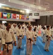 Kenpo Kai Adult Seminar