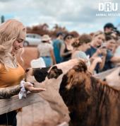 Dru Animal Rescue