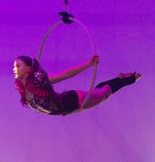 Aerial Circus