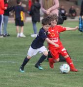 Soccer Teams