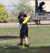 School cricket programs