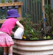Learning through nature