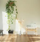Massage Northcote