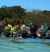 Dive Centre Manly Manly Diving Associations 3_small