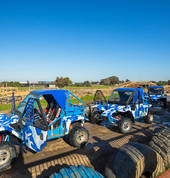 www.wildbuggy.com
