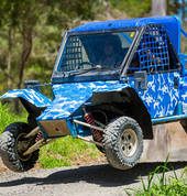 www.wildbuggy.com