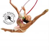 Elite Rhythmic Gymnastics Club Burleigh Waters Gymnastics Centres 2_small